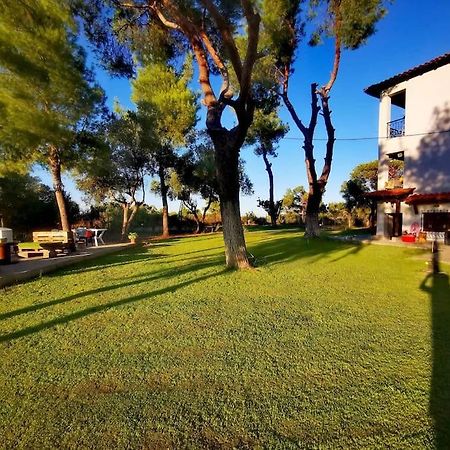 Golden Summer Apartment Néa Fókaia Екстериор снимка
