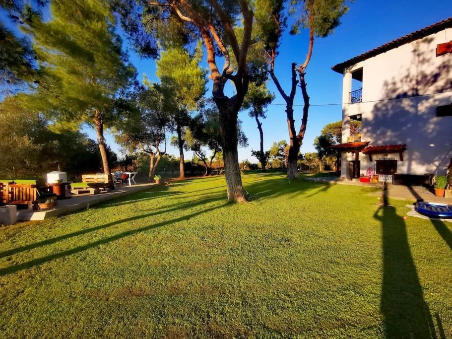 Golden Summer Apartment Néa Fókaia Екстериор снимка