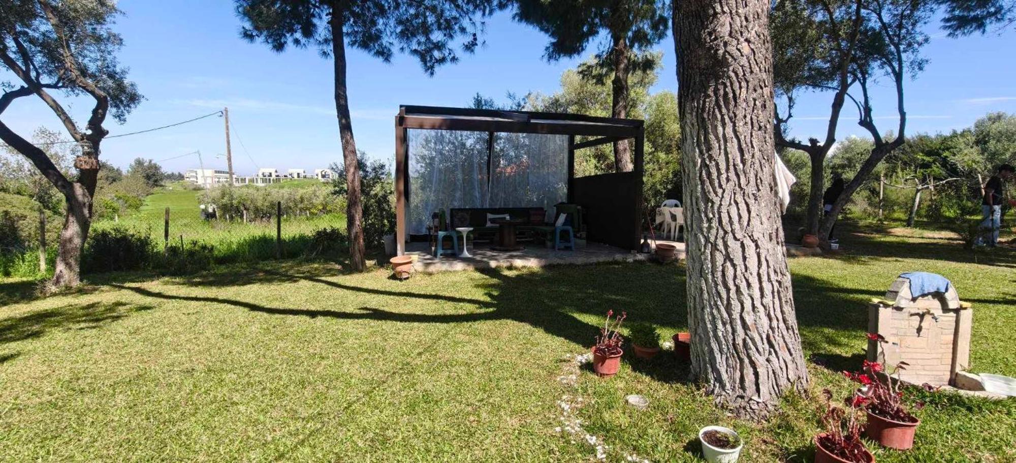 Golden Summer Apartment Néa Fókaia Екстериор снимка